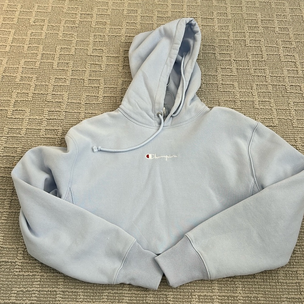 Women’s champion brand cropped lilac colored hoodie XS